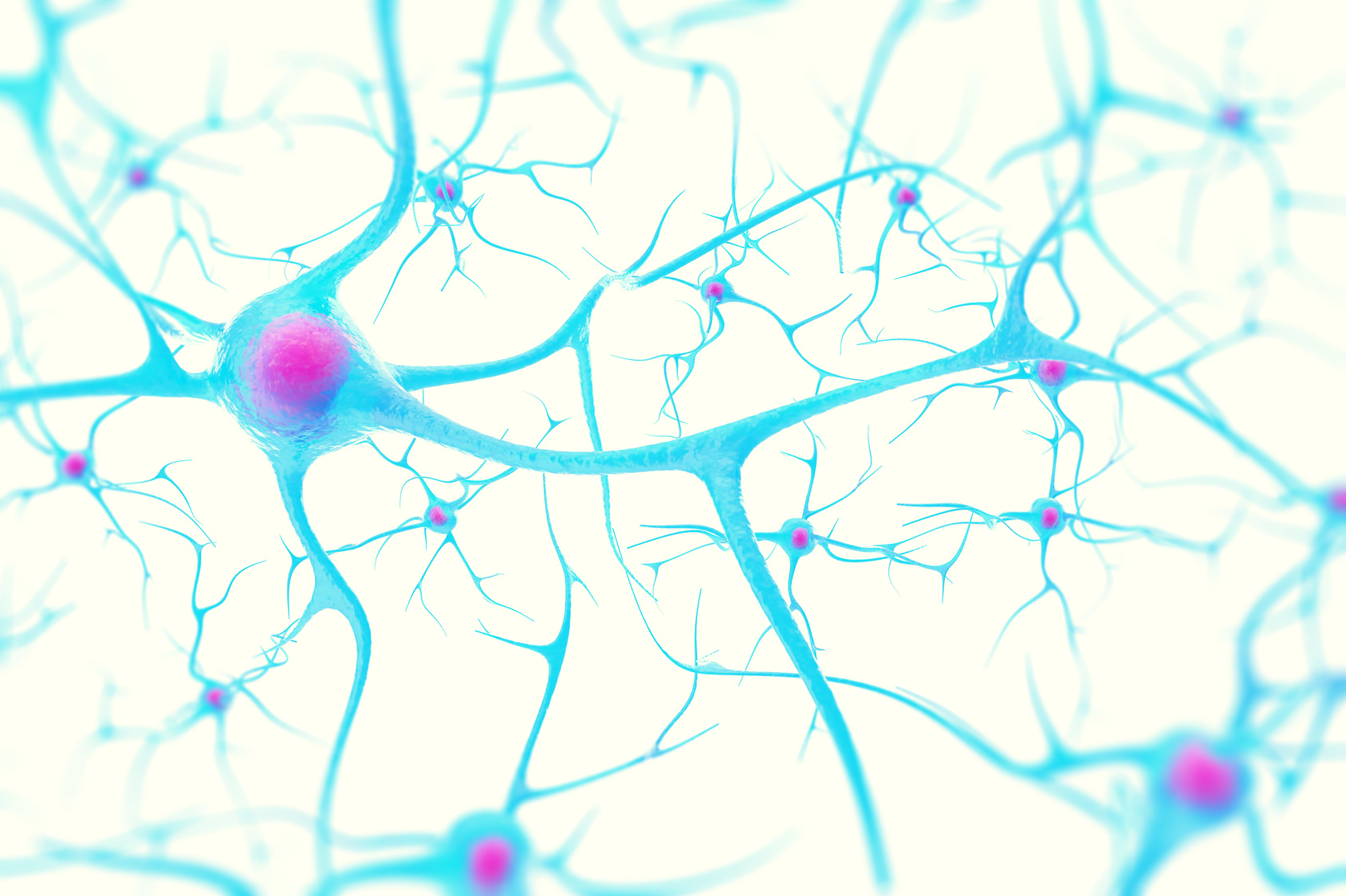 Мозг с нейронами на белом фоне