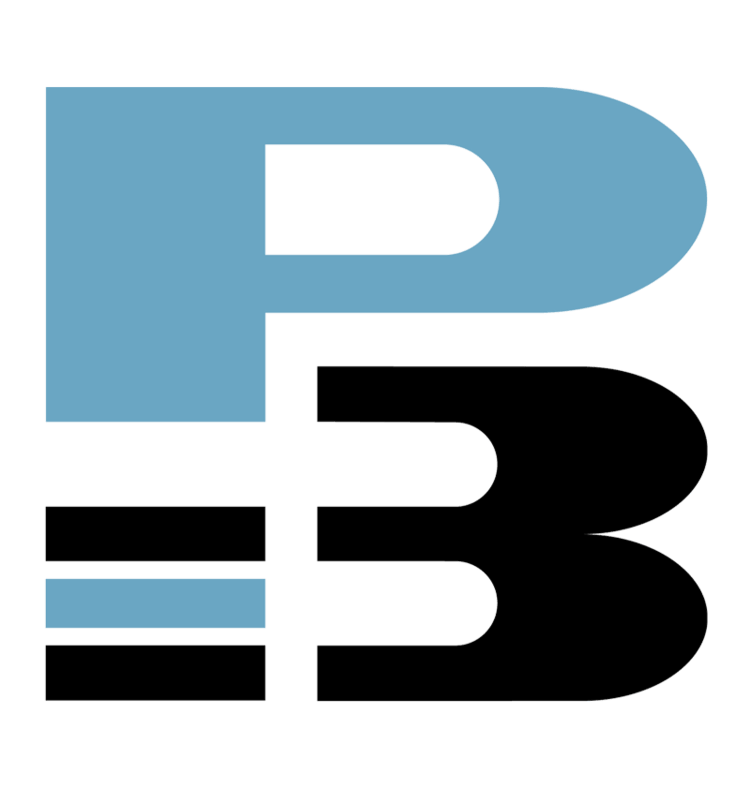 P3 SRL Logo