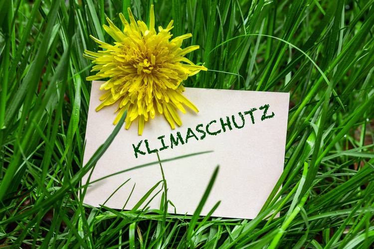 ALT-Text: „Gelber Löwenzahn neben einer Notiz mit der Aufschrift ‚Klimaschutz‘ auf Gras, symbolisiert das Engagement für nachhaltige Gebäudetechnologien und Energieeffizienz in der Branche.