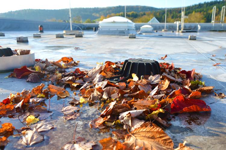 Flachdach eines Geschäftsgebäudes mit verstopftem Abfluss durch Laubansammlungen, ein potenzielles Risiko für Wasserschäden; Wichtiges Thema für Facility Manager und TGA-Planer in der Gebäudetechnik.