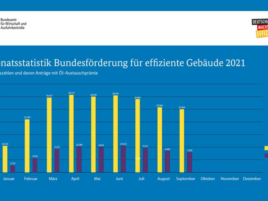 Bundesförderung BEG: Auch Im September Großer Ansturm | Haustec