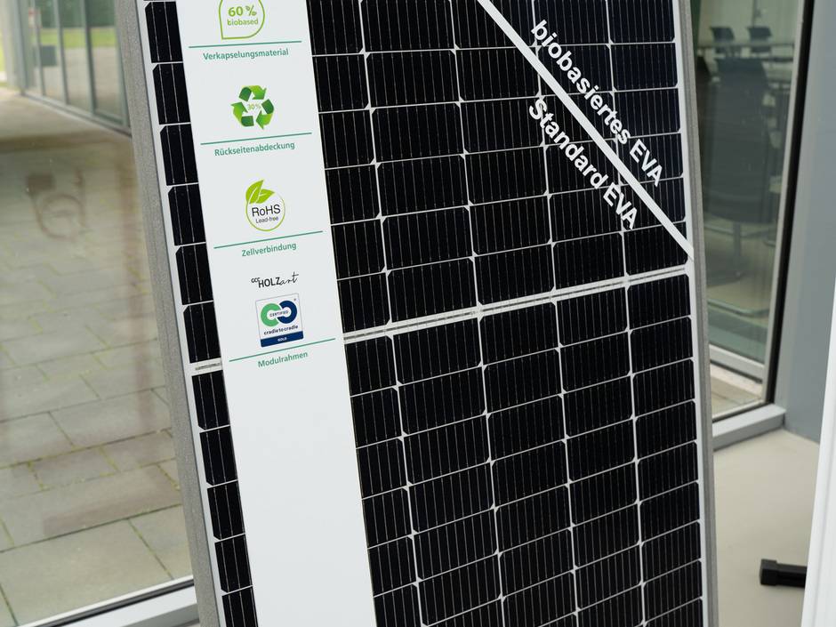 Das 380 Watt-Solarmodul entstand als »Bio-Modul-Prototyp« innerhalb des Projekts »E2 – E-Quadrat. Erneuerbare Energien aus Erneuerbaren Rohstoffen«