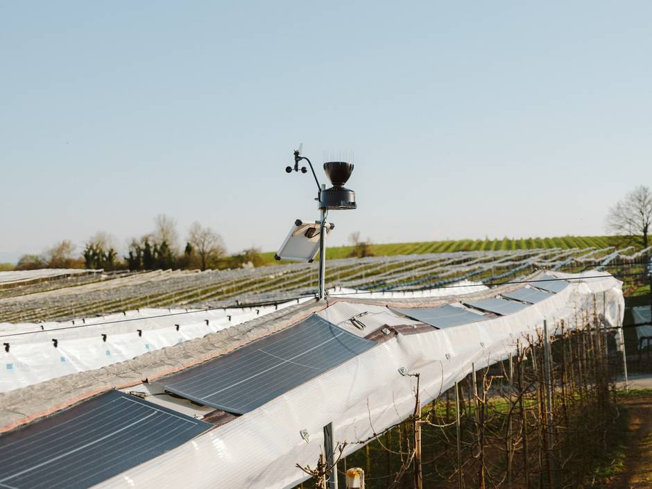 Das Fraunhofer ISE und die VOEN Vöhringer GmbH & Co. KG haben PV-Module entwickelt, die leicht genug sind, um auf klassischen Witterungsschutzsystemen für Sonderkulturen aufge-bracht zu werden.