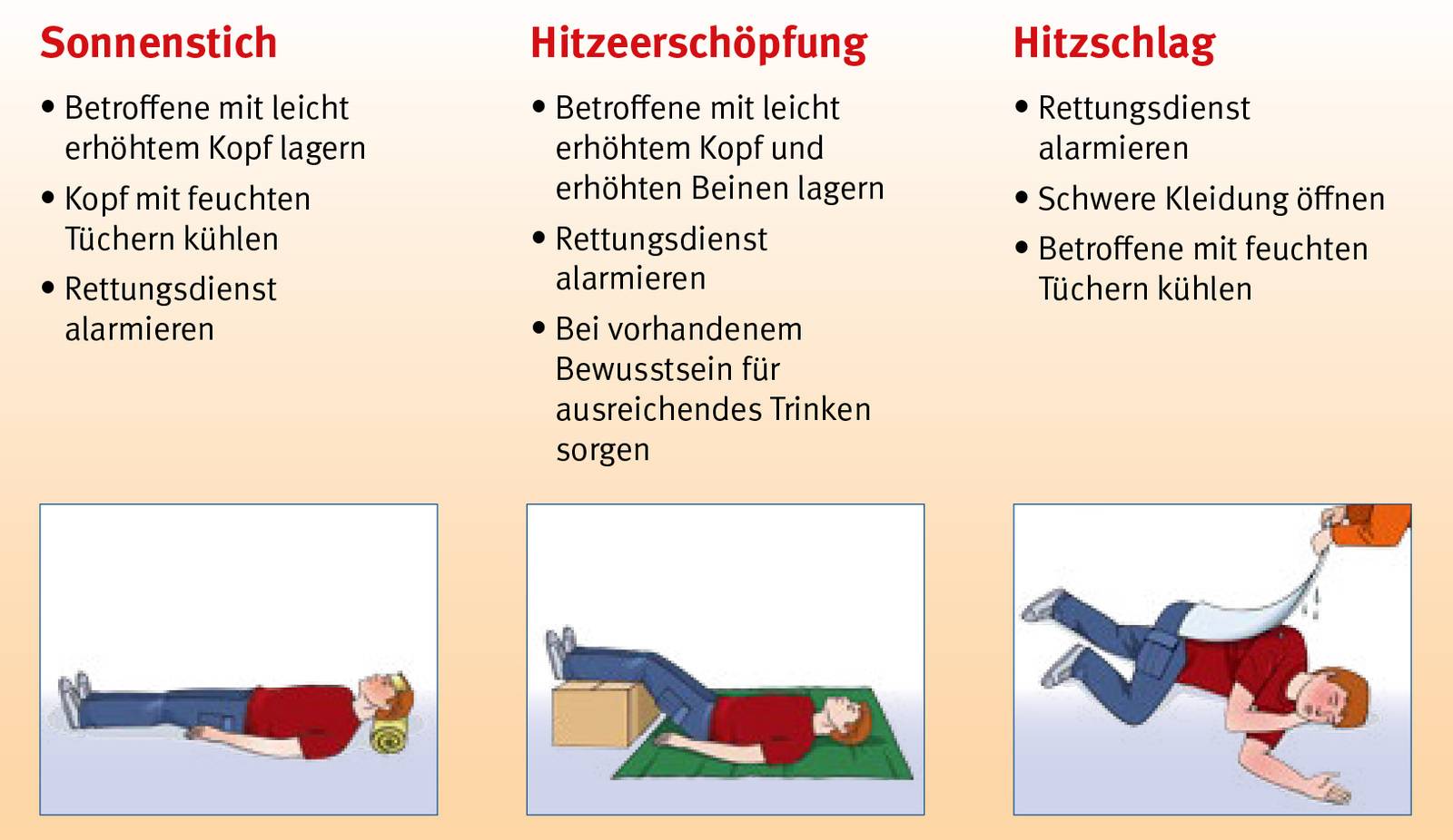 Check-Liste: Diese Dinge Sollten Sie Bei Extremer Hitze Im Freien ...