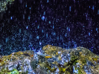 Wasserenthärter in der Praxis: Wenn das Wasser plötzlich hart wird Wasserenthärter in der Praxis: Wenn das Wasser plötzlich hart wird